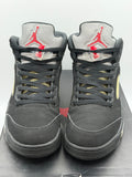 Air Jordan 5 Retro Black Metallic (2016) (WORN)