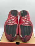 Air Jordan 12 Retro Cherry (2023) (WORN)