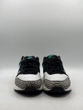 Nike Air Max 1 atmos Elephant (2017) (WORN/NO BOX)