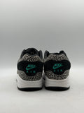 Nike Air Max 1 atmos Elephant (2017) (WORN/NO BOX)