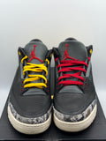 Air Jordan 3 Retro SE Animal Instinct 2.0 (WORN)