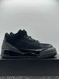 Air Jordan 3 Retro Black Cat (2025)(WORN)
