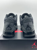 Air Jordan 3 Retro Black Cat (2025)(WORN)