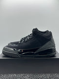 Air Jordan 3 Retro Black Cat (2025)(WORN)