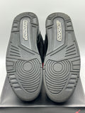 Air Jordan 3 Retro Black Cat (2025)(WORN)