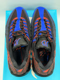 Nike Air Max 95 Doernbecher 15th Anniversary (WORN)