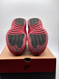 Air Jordan 12 Retro Flu Game (2025) (WORN)
