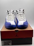 Air Jordan 12 Retro Blueberry (WORN)