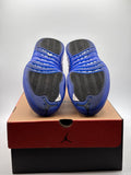Air Jordan 12 Retro Blueberry (WORN)