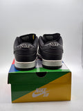 Nike SB Dunk Low Civilist (WORN)