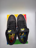 Nike SB Dunk Low Civilist (WORN)