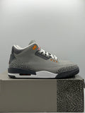Air Jordan 3 Retro Cool Grey (2021) (TRIED ON)