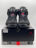 Air Jordan 6 Retro Black Infrared (2019) (WORN)