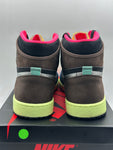 Air Jordan 1 Retro High Tokyo Bio Hack (WORN)