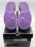 Nike SB Dunk Low Purple Pigeon 2006 (WORN)