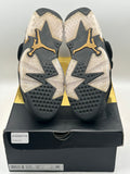 Air Jordan 6 Retro DMP (2020) (WORN)