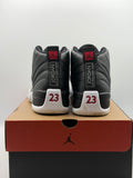 Air Jordan 12 Retro Playoffs (2022) (WORN)