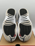 Air Jordan 12 Retro Playoffs (2022) (WORN)