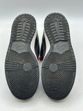 Nike SB Dunk Low Civilist (WORN/NO BOX)