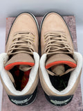 Air Jordan 3 Retro JTH Bio Beige (WORN)