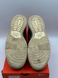 Dunk Low Team Orange (WORN)