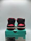 Nike SB Dunk Low J Pack Bred (WORN)