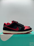 Nike SB Dunk Low J Pack Bred (WORN)