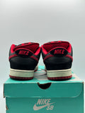 Nike SB Dunk Low J Pack Bred (WORN)