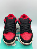 Nike SB Dunk Low J Pack Bred (WORN)