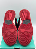 Nike SB Dunk Low J Pack Bred (WORN)