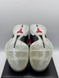 Nike Kobe 6 Protro Challenge Red All-Star (2021) (WORN)