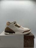 Air Jordan 3 Retro Palomino (WORN)