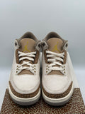 Air Jordan 3 Retro Palomino (WORN)