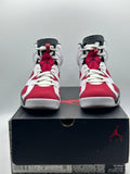 Air Jordan 6 Retro Carmine (2021) (WORN)