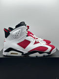 Air Jordan 6 Retro Carmine (2021) (WORN)