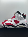 Air Jordan 6 Retro Carmine (2021) (WORN)
