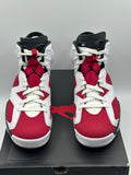 Air Jordan 6 Retro Carmine (2021) (WORN)