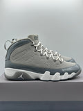 Air Jordan 9 Retro Cool Grey (2025) (WORN)