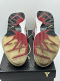 Nike Kobe 4 Protro Gold Medal (2024) (WORN/REP BOX)