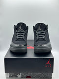 Air Jordan 3 Retro Black Cat (2025) (WORN)