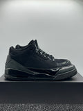 Air Jordan 3 Retro Black Cat (2025) (WORN)