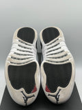 Air Jordan 12 Retro Low Playoffs 2017 (WORN)