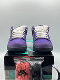 Nike SB Dunk Low Concepts Purple Lobster (WORN)