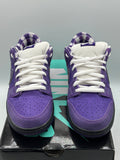 Nike SB Dunk Low Concepts Purple Lobster (WORN)
