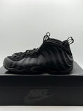Nike Air Foamposite One Anthracite (2023) (WORN)