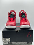 Air Jordan 6 Retro History of Jordan (Spiz'ike) (WORN)