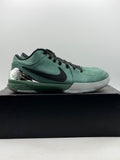 Nike Kobe 4 Protro Girl Dad (WORN)
