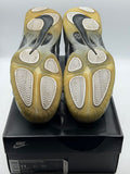 Nike Air Foamposite Pro Silver Surfer (WORN)