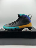 Air Jordan 9 Retro Dream It Do It (WORN)