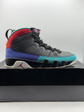 Air Jordan 9 Retro Dream It Do It (WORN)